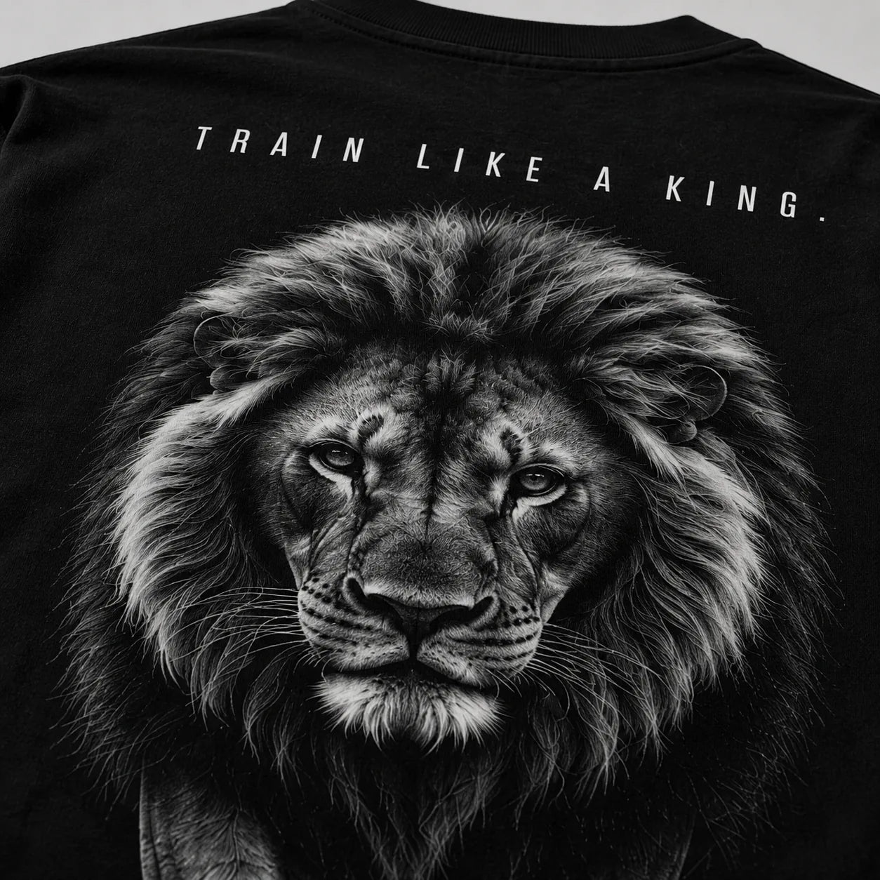 Camiseta OVERSUL27 - Leão - foto 7